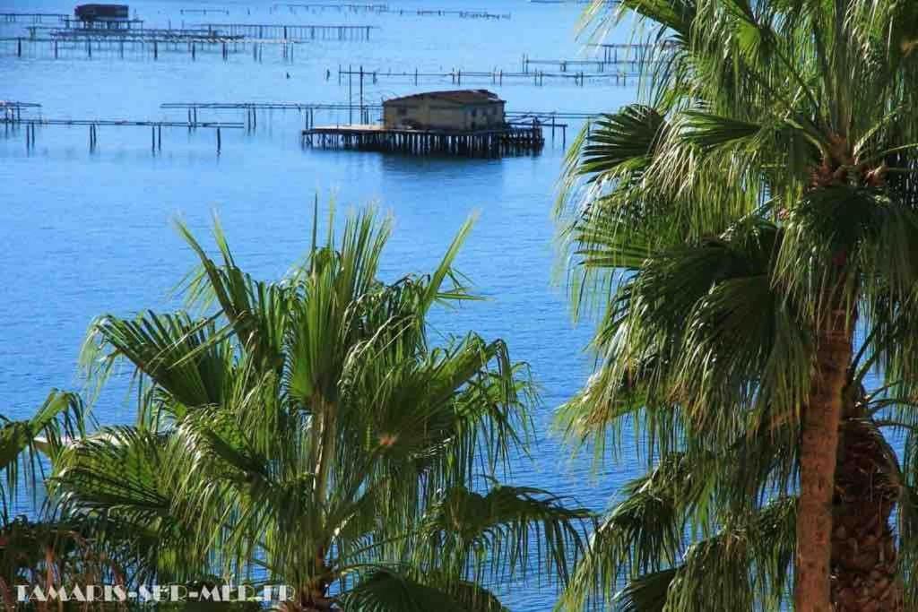 Les Pieds Dans L'Eau Apartamento La Seyne-sur-Mer Exterior foto